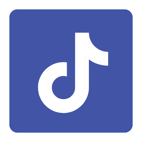 Tik Tok Icon